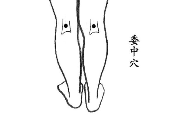 委中穴:腘横纹中点,当股二头肌腱与半腱肌肌腱的中间.