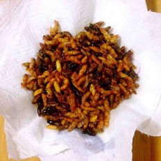 油炸野生马蜂蛹