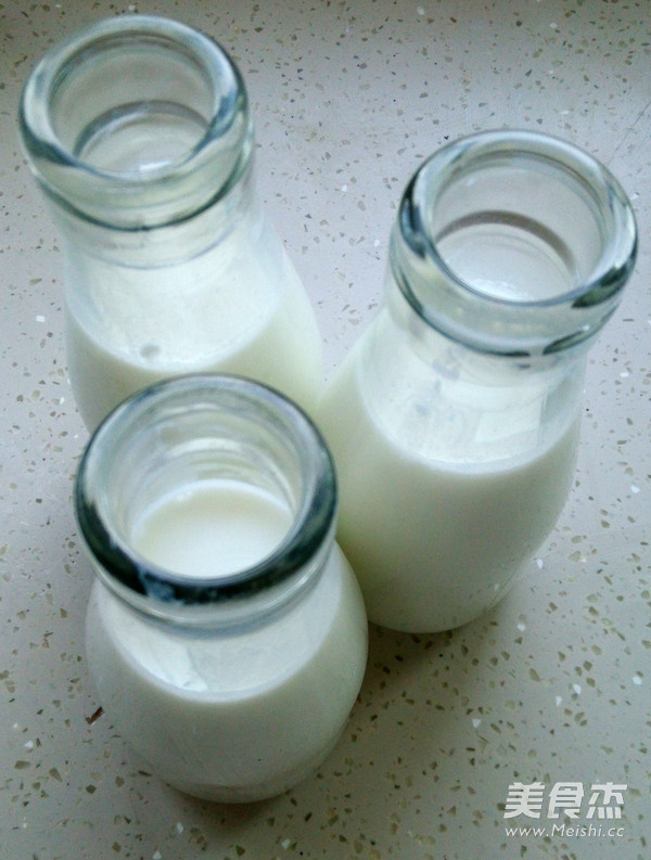 自制老酸奶的做法_家常自制老酸奶的做法【图