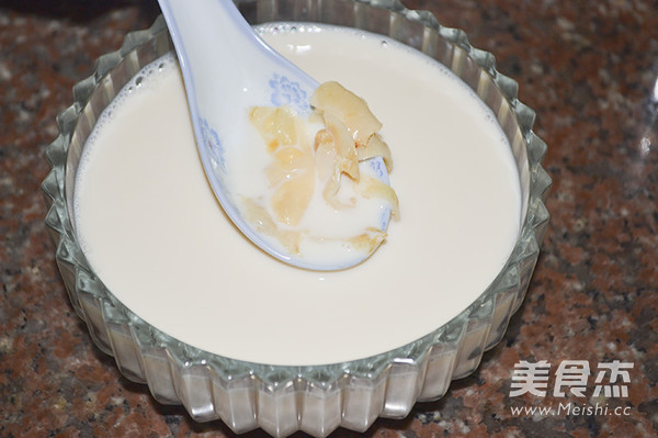 花胶牛奶冻,花胶牛奶冻的家常做法 - 美食杰花胶牛奶